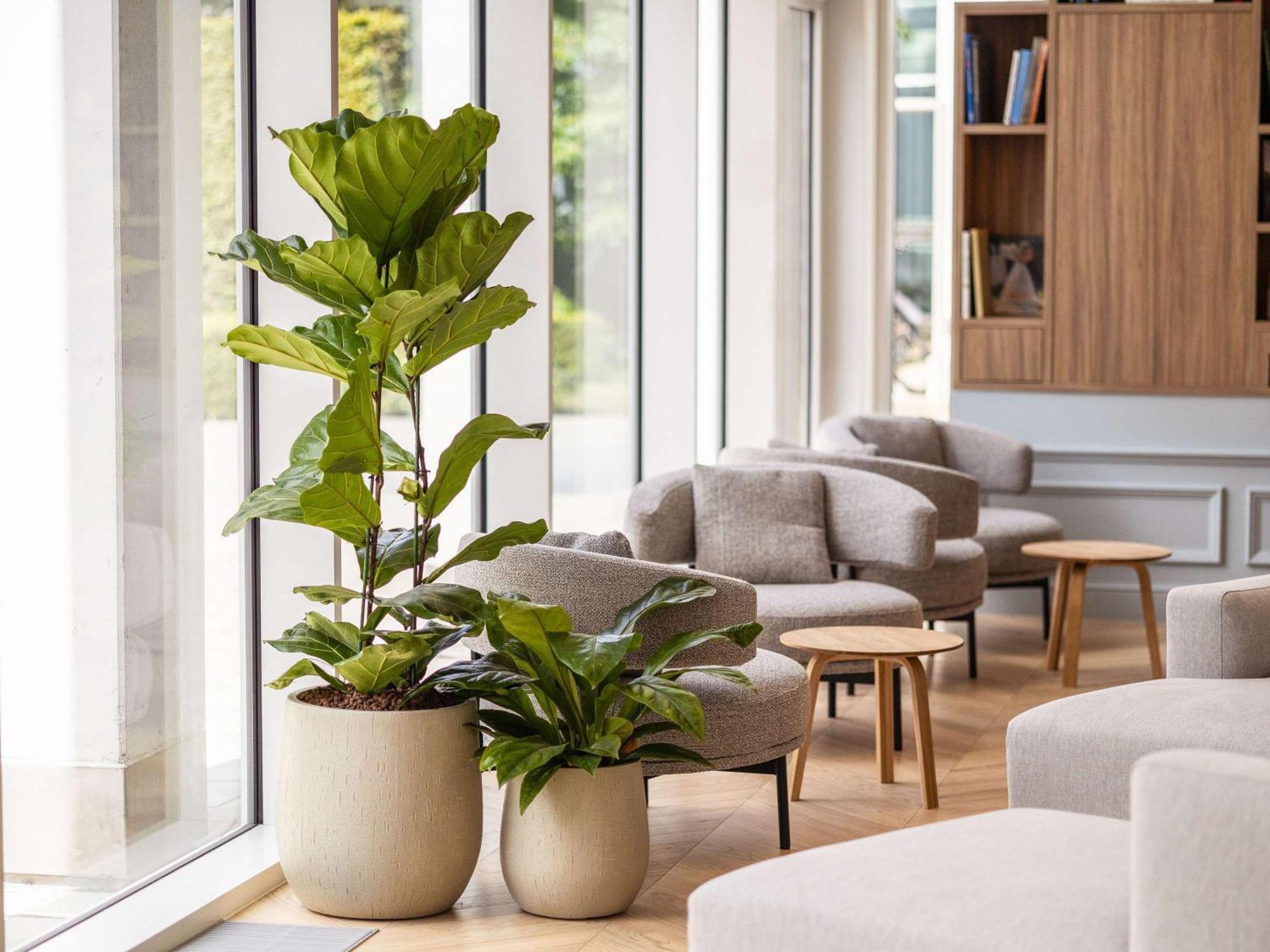 Novotel Brugge Centrum Εξωτερικό φωτογραφία